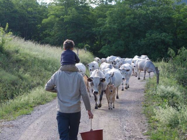 Est ce que tout le monde suit ? ... mais il y a l'arrière garde qui veille, avec entre autre Maxime notre futur vacher pour cet été.