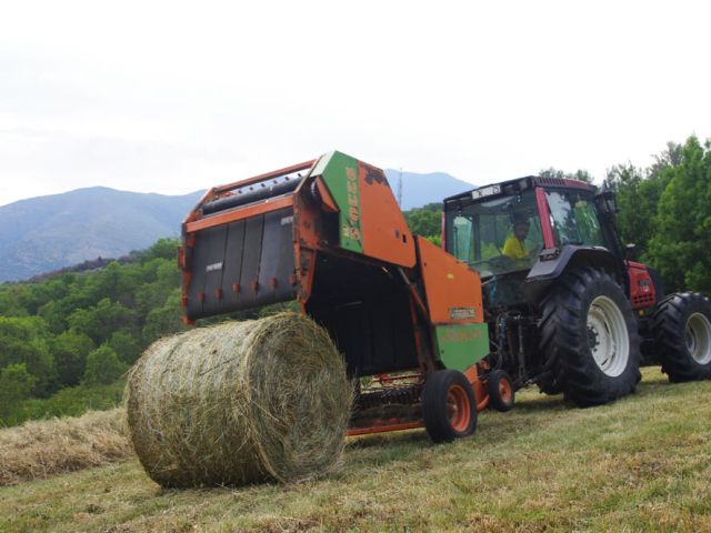 La presse "délivre" ses balles rondes d'environ 250 kg ... une opération délicate pour le chauffeur ! Si la balle n'est pas posée perpendiculairement à la pente, elle peut se mettre à dévaler la pente ... et faire de gros dégâts, notamment blesser des gens !